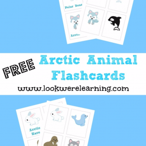 Free Arctic Animal Flashcards - Look! We're Learning!