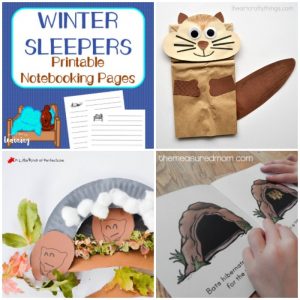Fun Hibernation Crafts and Activities for Kids