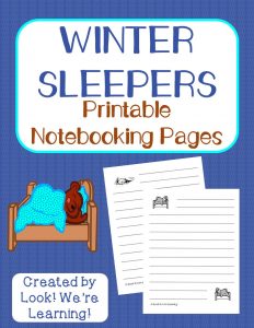 Hibernation Notebooking Pages