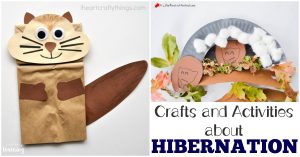 Hibernation Unit for Kids