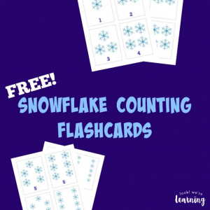 Snowflake Counting Flashcards - Look! We're Learning!