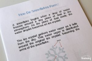 Snowflake Science Lesson