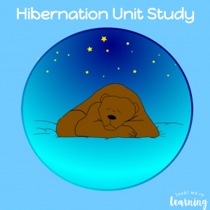 Hibernation Unit for Homeschoolers