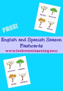 Free Printable English and Spanish Season Flashcards - Look! We're Learning!