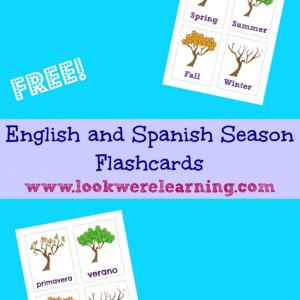 Free English and Spanish Seasons Flashcards - Look! We're Learning!