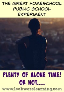 Plenty of Alone Time - Do you really get more alone time when you send your kids to public school?