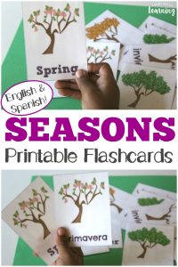 These printable English and Spanish season flashcards are great for learning about the seasons in both languages!