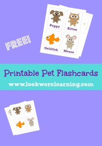 Free Printable Pet Flashcards