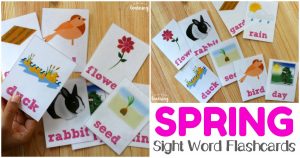 Early readers will love this fun set of printable spring sight word flashcards!