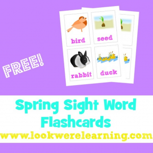 Free Spring Sight Words Flashcards - Look! We're Learning!