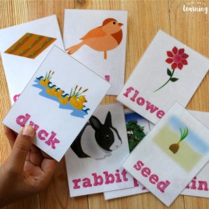 Printable Spring Sight Word Flashcards for Kids