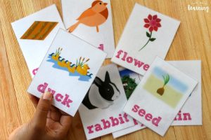 Spring Sight Word Flashcards