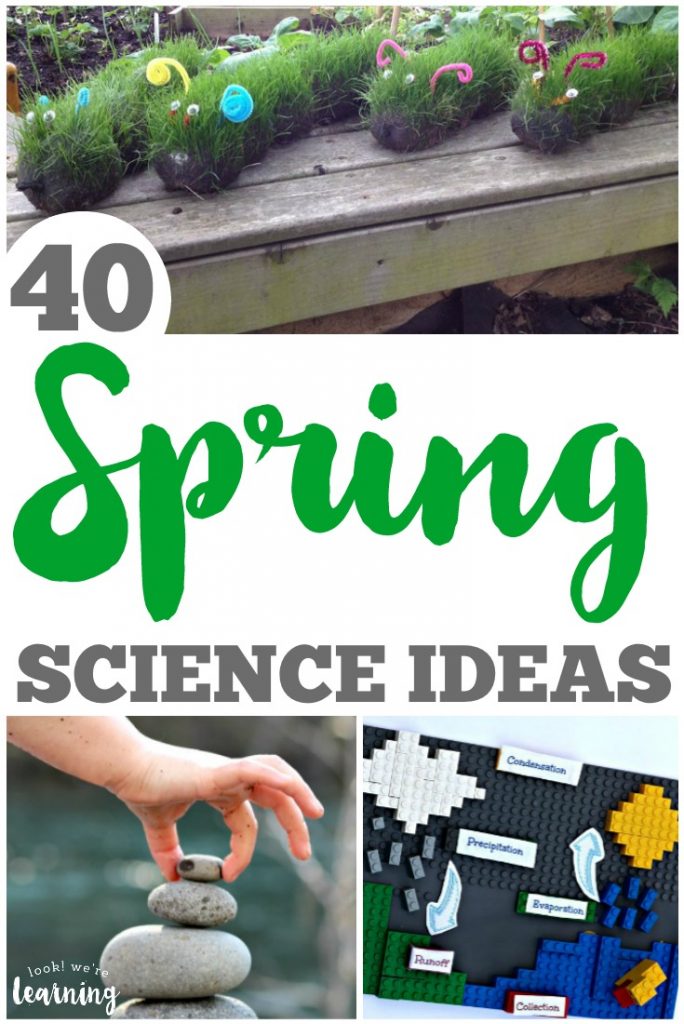 These spring science ideas are wonderful for teaching science to the kids this year!