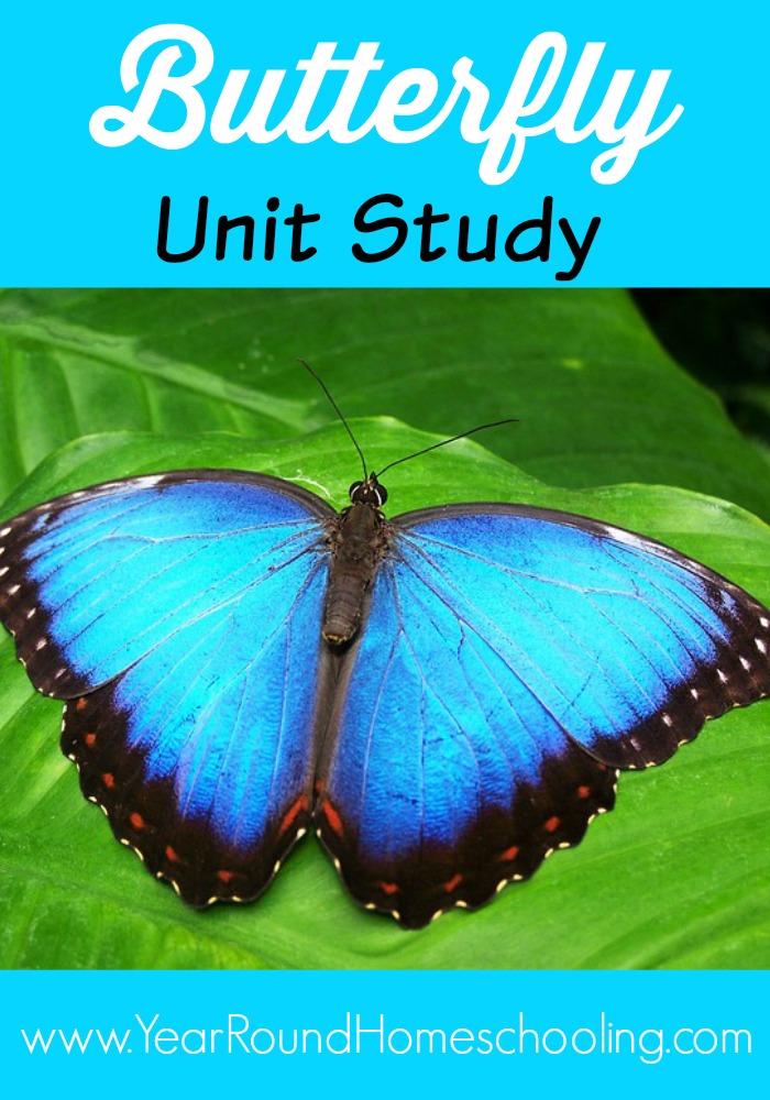 Butterfly Unit Study