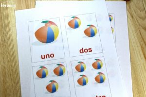 Printable Beach Spanish Counting Cards