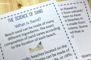 Printable Beach Unit Study