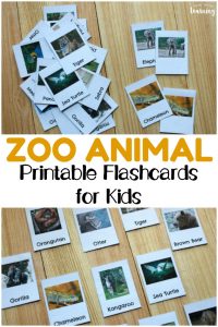 Help early learners get to know some of the wild creatures who live at the zoo with these printable zoo animal flashcards for kids!