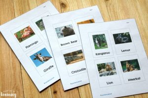Printable Zoo Animal Flashcards