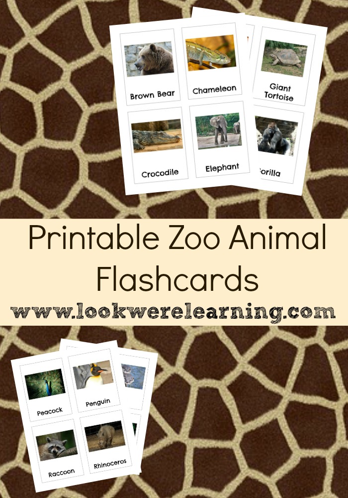 Printable Zoo Animal Flashcards