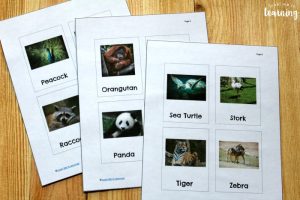 Printable Zoo Animal Flashcards for Kids