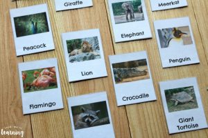 Printable Zoo Animal Flashcards for Preschoolers