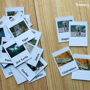 Zoo Animal Flashcards
