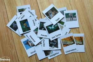 Zoo Animal Flashcards for Kids