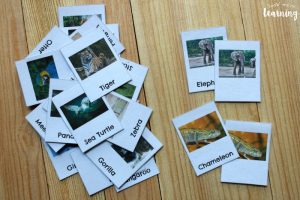 Zoo Animal Flashcards for Preschoolers