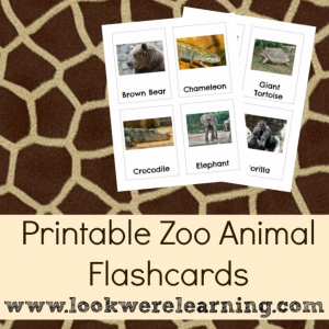 Printable Zoo Animal Flashcards - Look! We're Learning!
