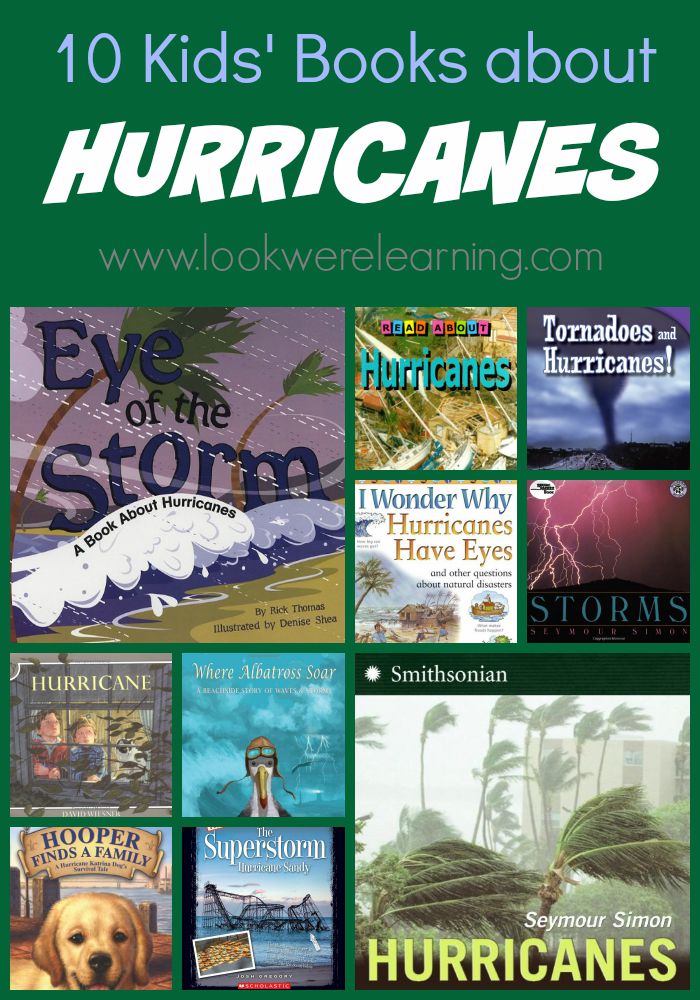 10 Kids' Books about Hurricanes