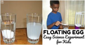 Easy Floating Egg Science Experiment for Kids
