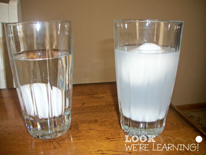 Simple Science Experiments: Make an Egg Float!