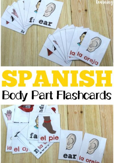 Practice talking about the parts of the body in Spanish with these Spanish parts of the body flashcards!