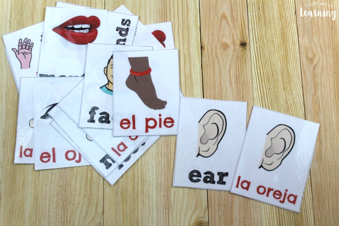 Printable Spanish Body Part Flashcards for Kids