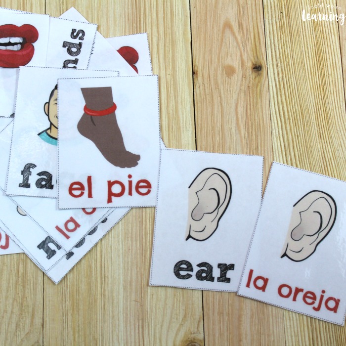 Spanish Body Part Flashcards for Kids