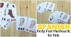 Spanish Parts of the Body Flashcards