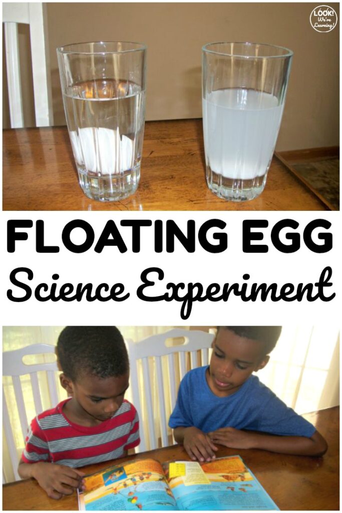 This easy floating egg science experiment is so fun for kids who are learning about salinity! Great for science at home too!