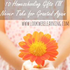 Homeschooling Gifts I'll Never Take for Granted Again - Look! We're Learning!
