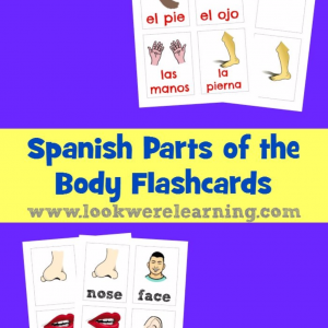 Spanish Parts of the Body Flashcards for Kids