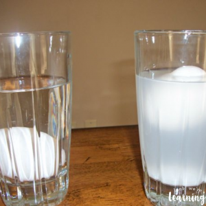 Easy Floating Egg Experiment for Kids - Look! We're Learning!