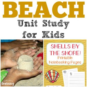 Beach Unit Study for Kids