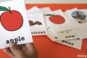 Printable Fall Sight Word Flashcards for Kids