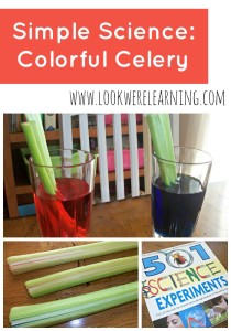 Simple Science Experiments - Colorful Celery
