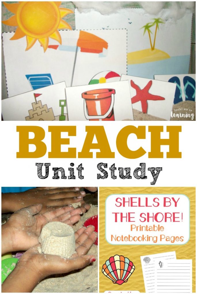 Use this fun beach unit study for kids to learn about this amazing sandy ecosystem!