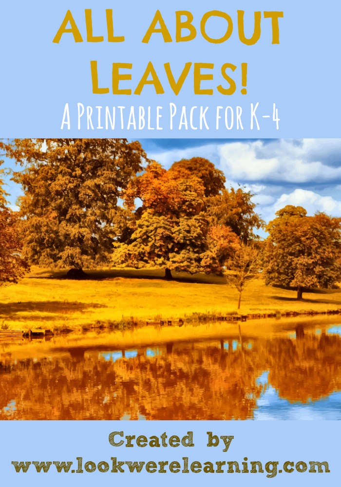All About Leaves Printable Pack - Look! We're Learning!
