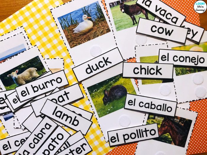 English and Spanish Farm Animal Flashcards