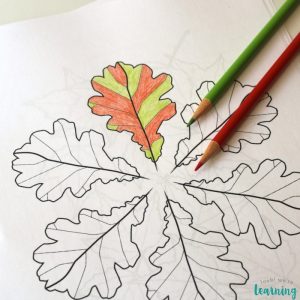 Fall Leaves Printable Unit Study