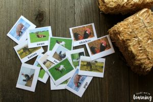 Farm Animal Identification Flashcards for Kids