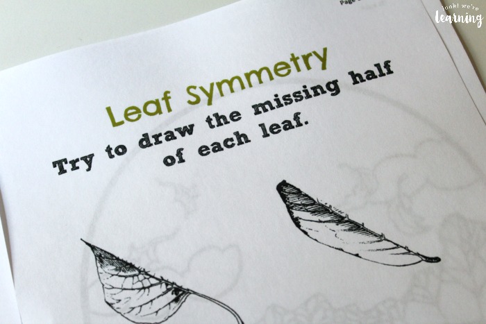 Leaf Symmetry Printable Activity