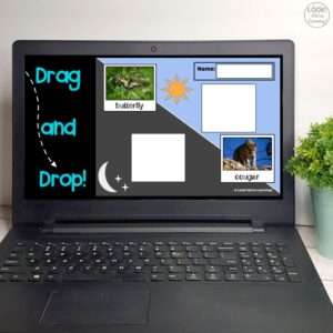 Nocturnal and Diurnal Animal Sorting Digital Product